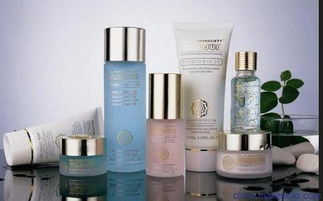 上海伯斯卡國際貨物運輸代理公司 一站式進口化妝品、食品與家具清關服務